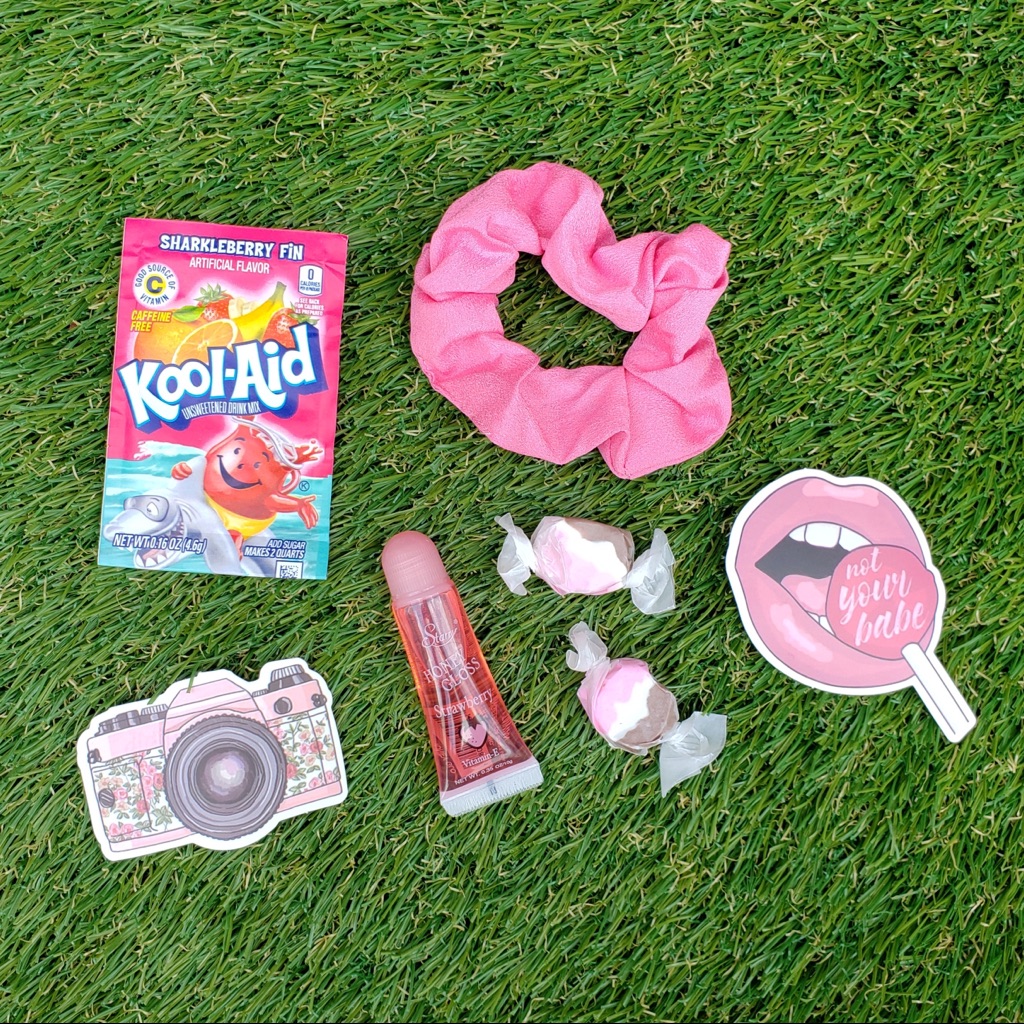 Lipgloss & Scrunchie Bundle